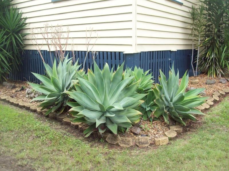 17 Hamilton Street, Booval QLD 4304