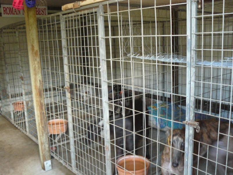 32 Andrew Sreet, Bundamba QLD 4304