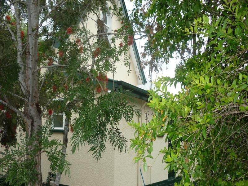 3/34 Waghorn Street, Ipswich QLD 4305