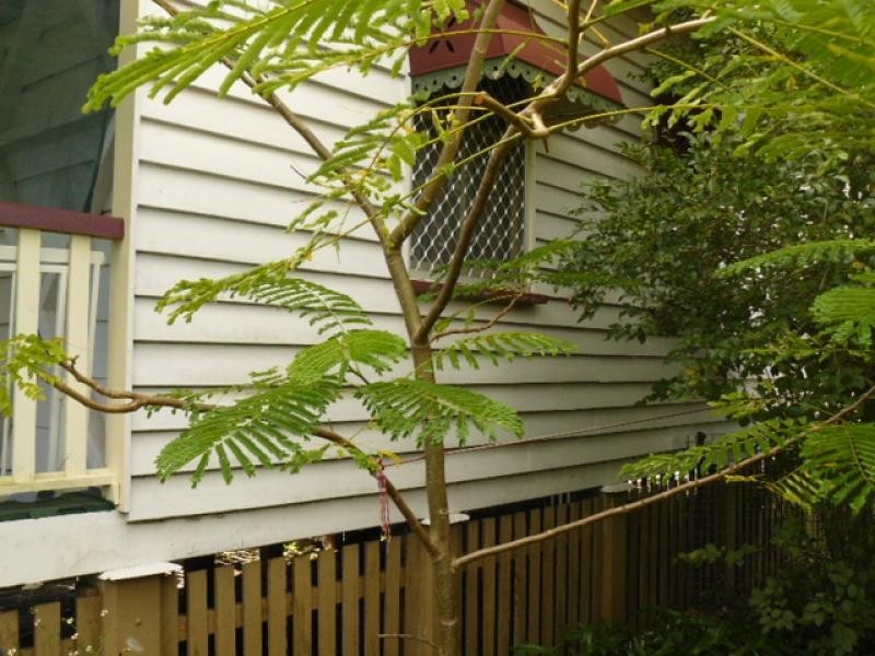 9 Hopetown Street, Tivoli QLD 4305