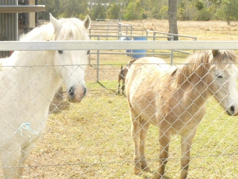 58 Schillings Road, Karrabin QLD 4306