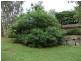 2A Clare Avenue, North Ipswich QLD 4305