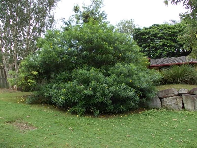2A Clare Avenue, North Ipswich QLD 4305