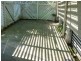 11 Edward Street, One Mile QLD 4305