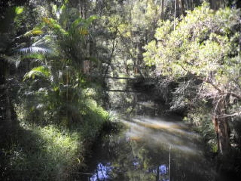 Mount Nathan QLD 4211