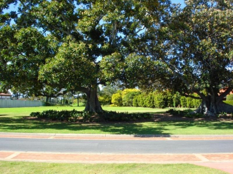 3119 Riverleigh Drive, Hope Island QLD 4212