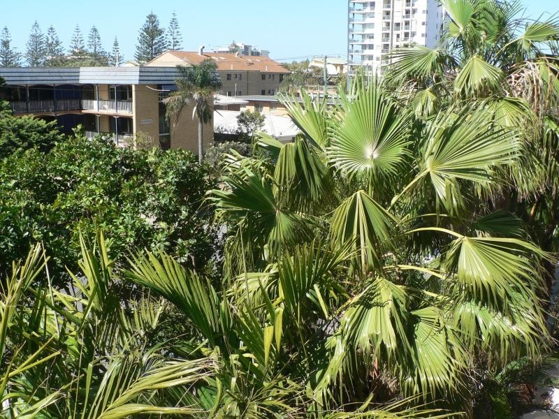 Broadbeach QLD 4218