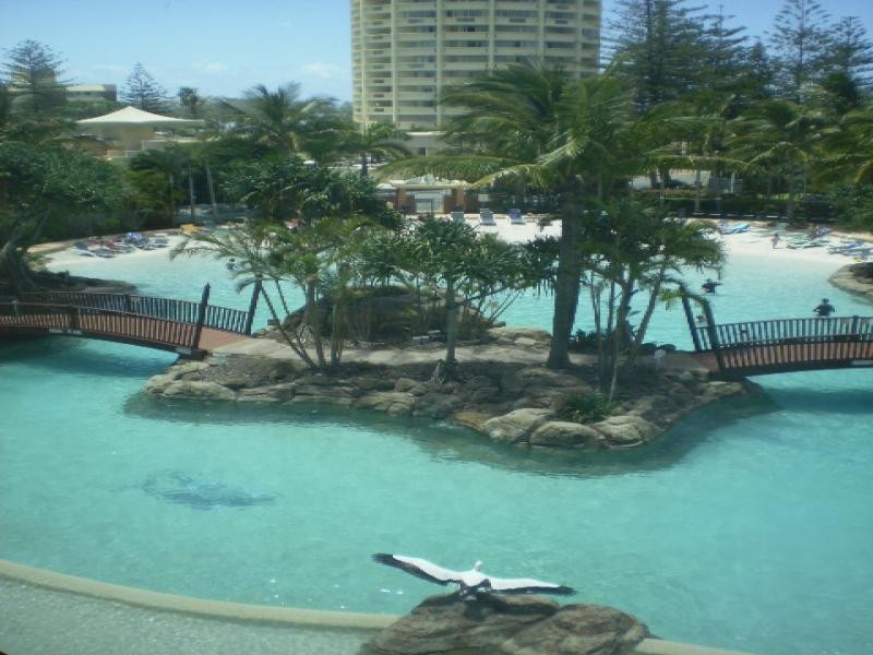 Surfers Paradise QLD 4217