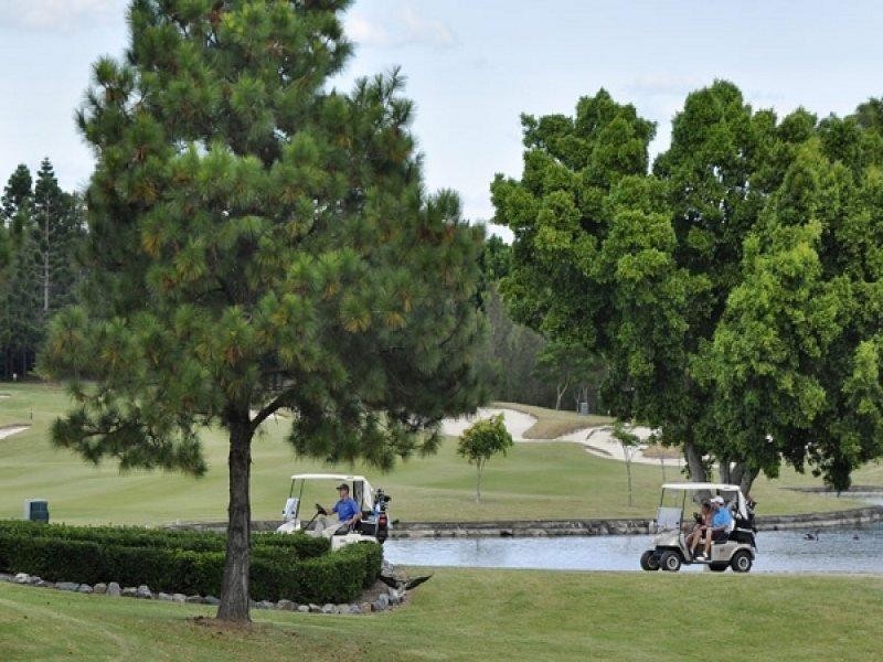 1036 Lakeview Terrace, Benowa QLD 4217