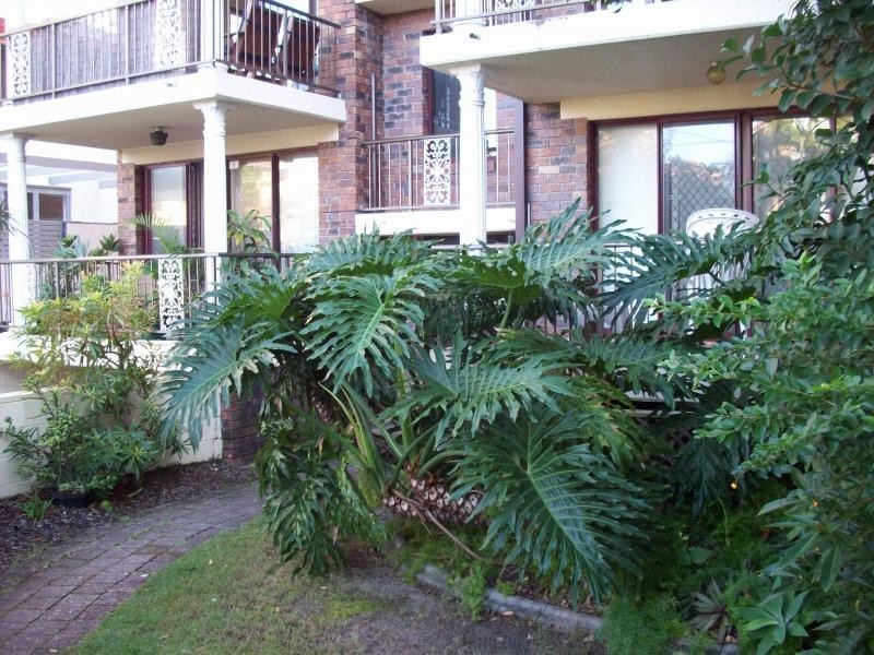 2/11 Second Ave, Broadbeach QLD 4218