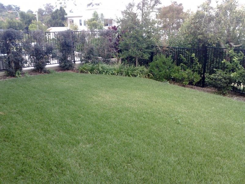 6018B Vista Drive, Benowa QLD 4217