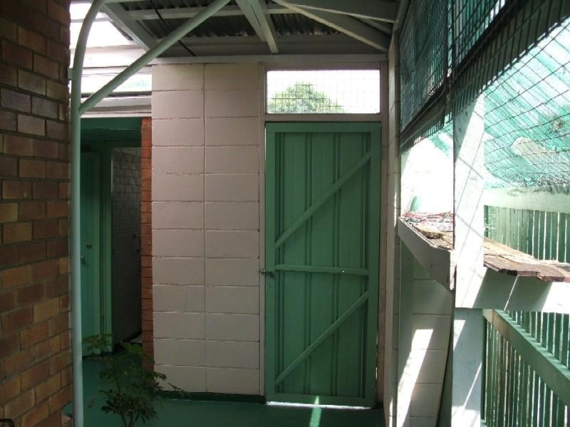 13 Ellis Street, Wilsonton QLD 4350