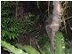 191 Spring Street, Middle Ridge QLD 4350