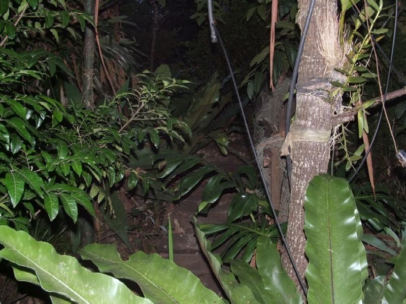 191 Spring Street, Middle Ridge QLD 4350