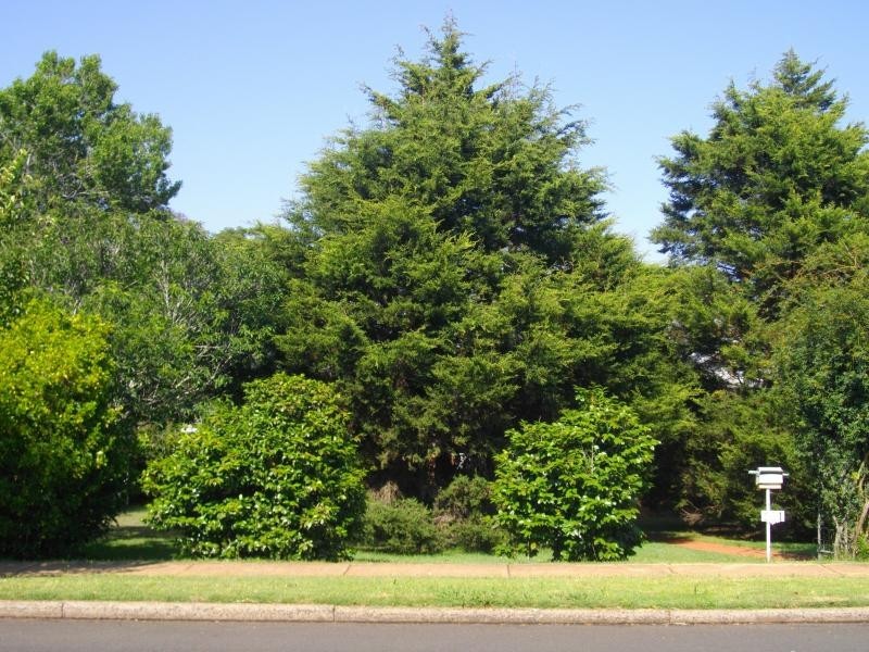 101 Tourist Road, Rangeville QLD 4350