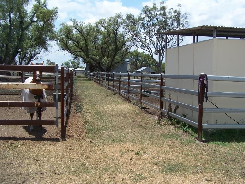Wyreema QLD 4352