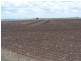 Wyreema QLD 4352