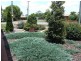 Wilsonton QLD 4350