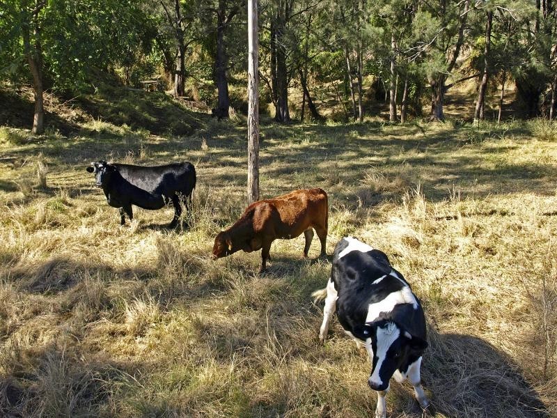 23 Donnellys Road, Toowoomba QLD 4350