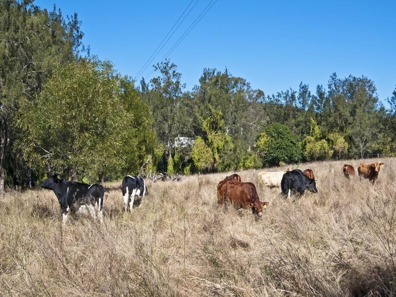 23 Donnellys Road, Toowoomba QLD 4350