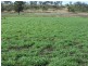 495 Goombungee-Meringandan Road, Toowoomba QLD 4350