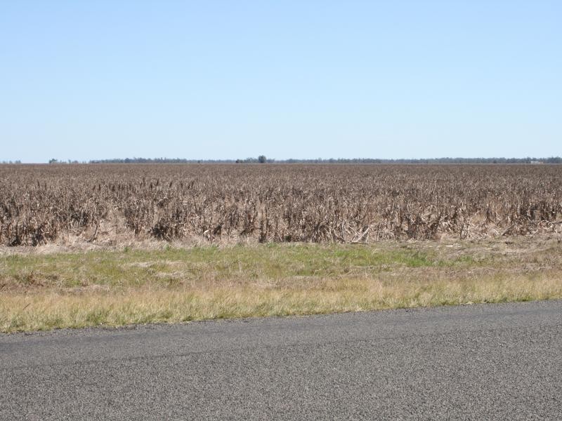 0 Jondaryan-Evanslea Road, Jondaryan QLD 4403