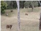 1932 Murphys Creek Road, Toowoomba QLD 4350