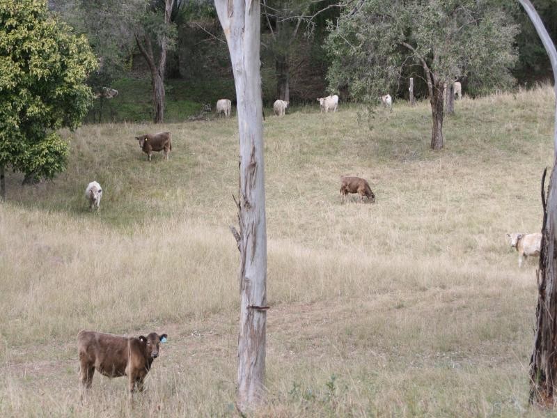 1932 Murphys Creek Road, Toowoomba QLD 4350