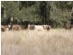 1932 Murphys Creek Road, Toowoomba QLD 4350