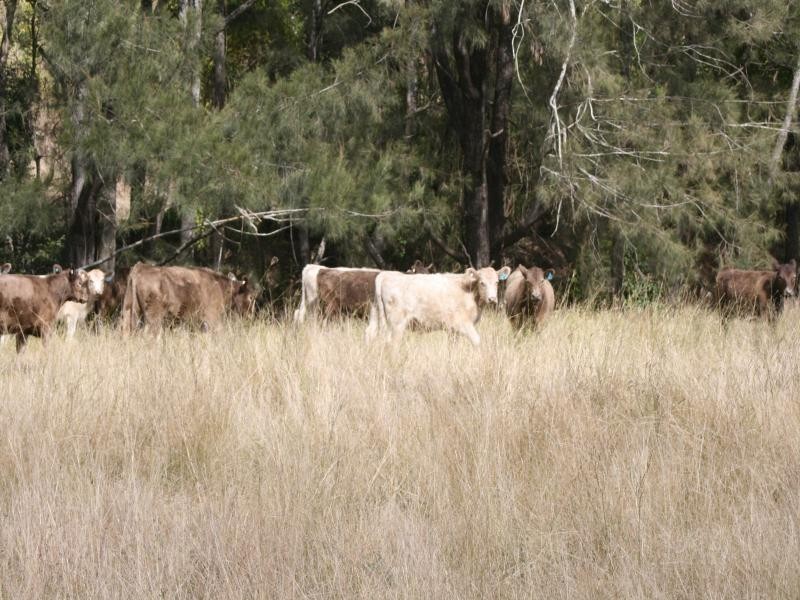 1932 Murphys Creek Road, Toowoomba QLD 4350