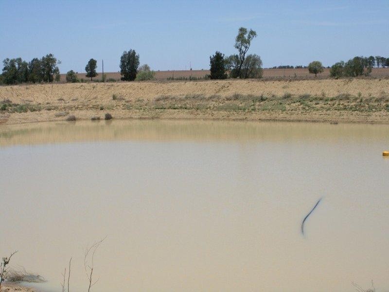 Bundella, Wallumbilla QLD 4428