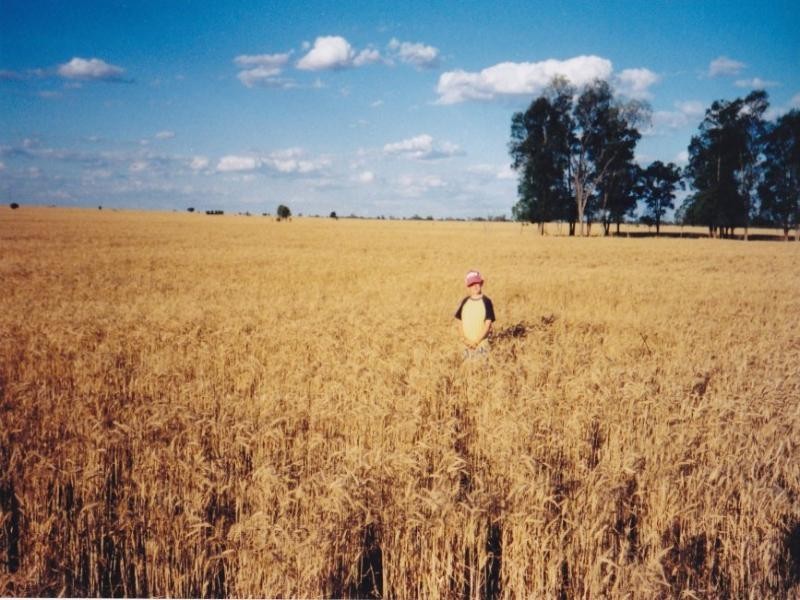 Bundella, Wallumbilla QLD 4428