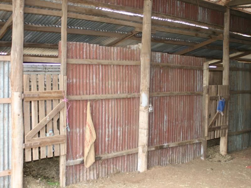 193 Bracker Road, Warwick QLD 4370