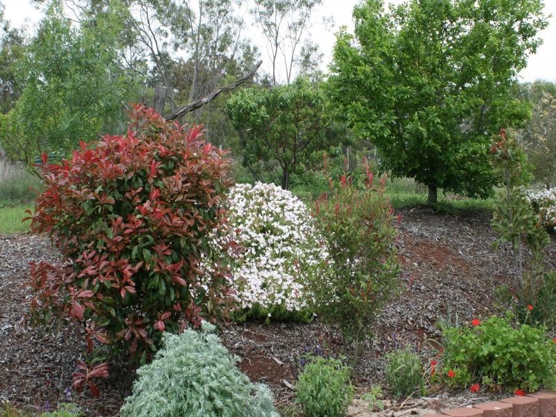 0 Merritts Creek Road, Geham QLD 4352