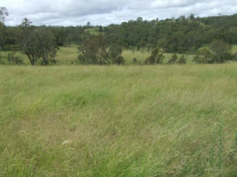 709 Groomsville Road, Geham QLD 4352