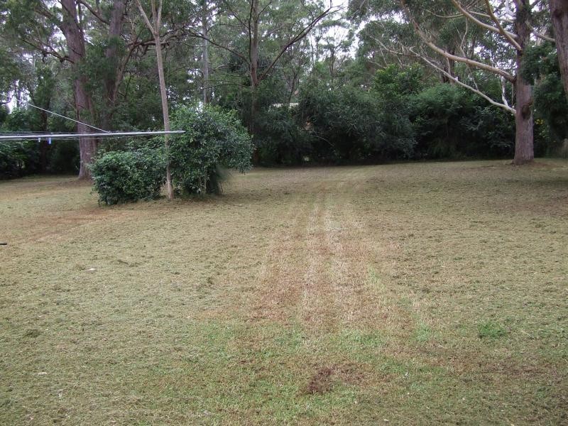17 Michele Avenue, Highfields QLD 4352