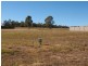 Naomi Drive, Jane Street, Crows Nest QLD 4355