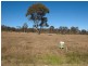 Naomi Drive, Cedarwood Drive, Crows Nest QLD 4355