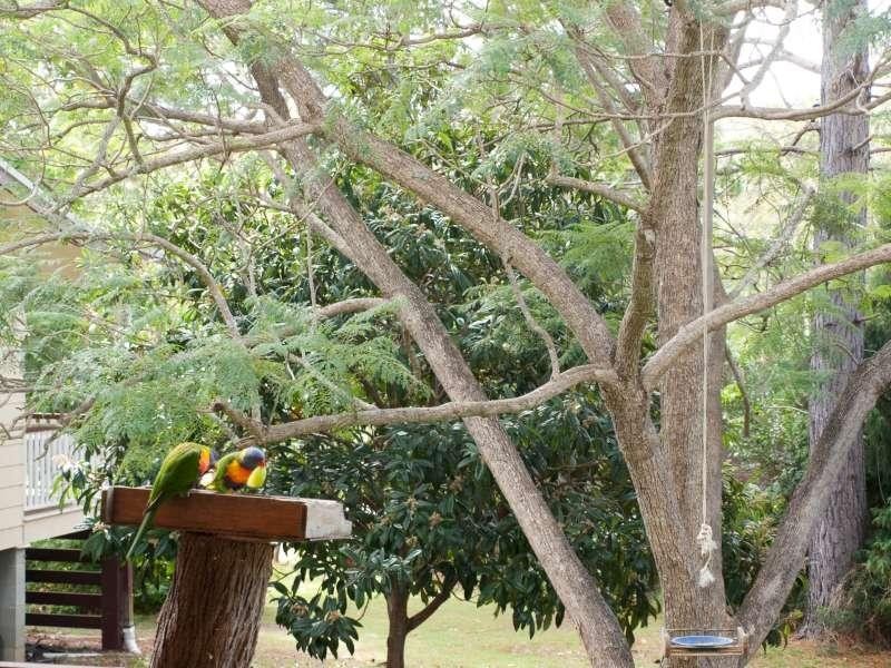 3 William Street, Crows Nest QLD 4355