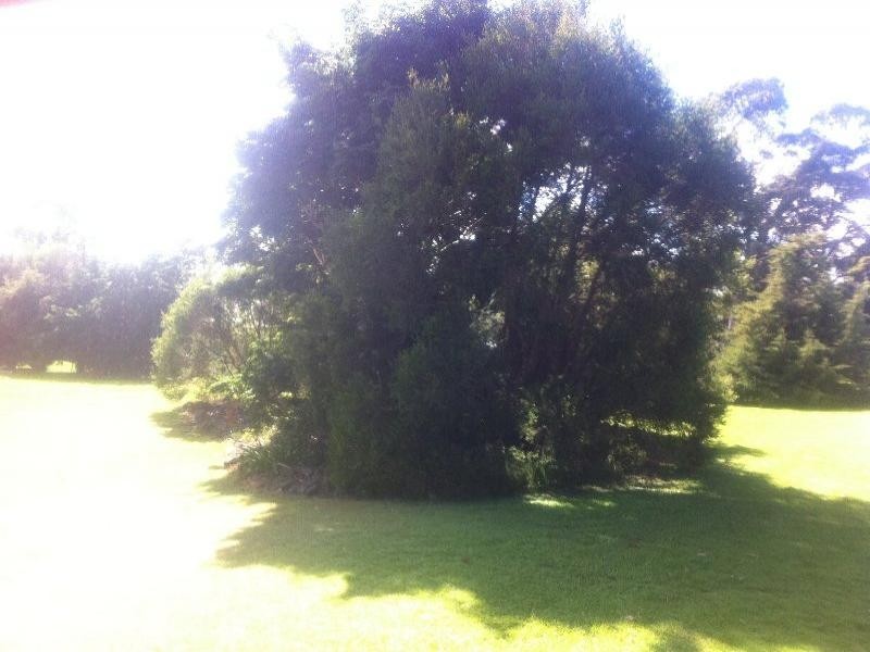 8 Stewart Street, Highfields QLD 4352