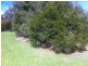 8 Stewart Street, Highfields QLD 4352