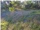 8 Back Creek Road, Cooyar QLD 4402