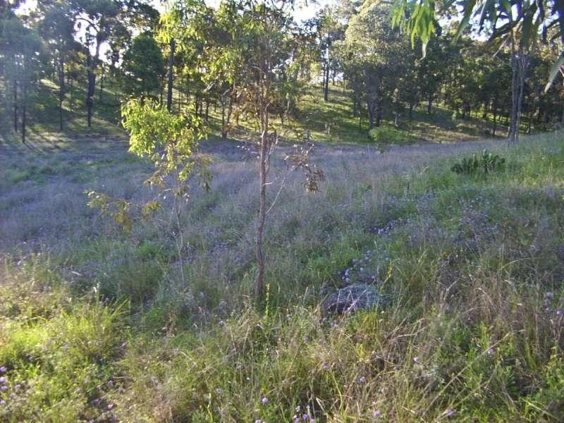 8 Back Creek Road, Cooyar QLD 4402