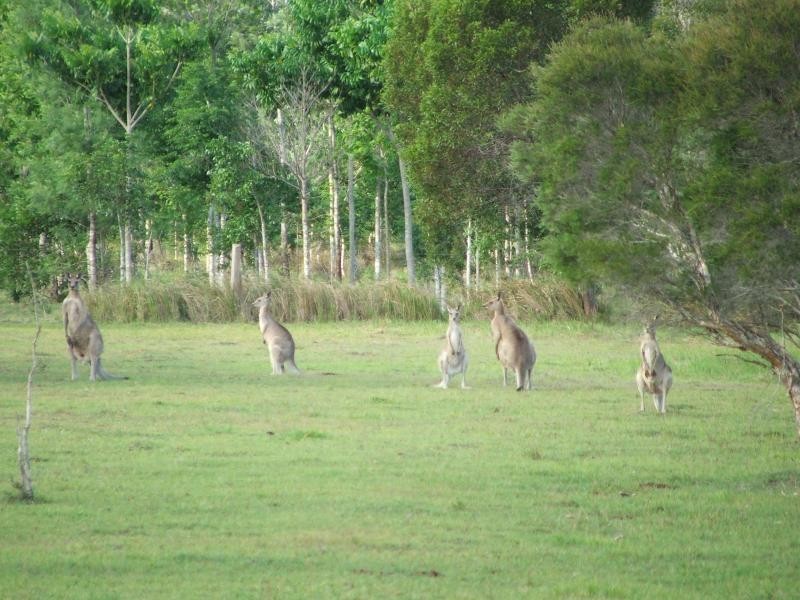 63 Broadlands, Buxton QLD 4660