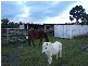 Wamuran QLD 4512