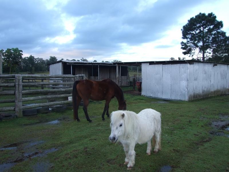 Wamuran QLD 4512