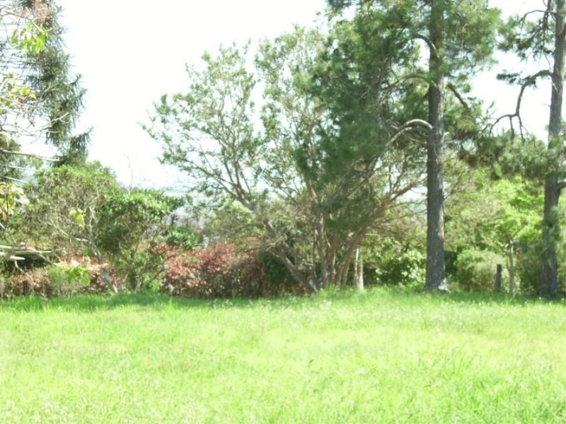 11 Canaipa Point Drive, Russell Island QLD 4184