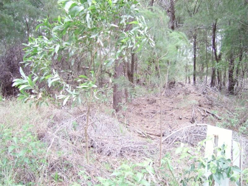 13 Coleus Street, Russell Island QLD 4184