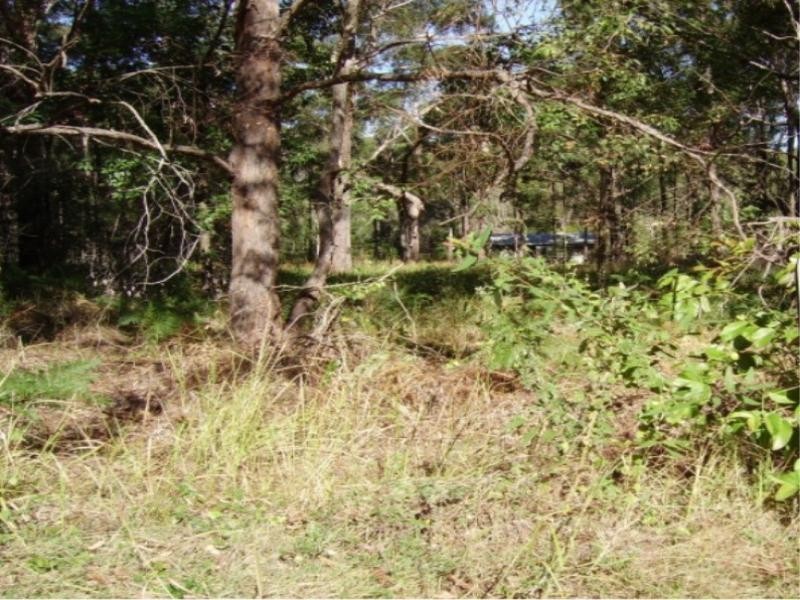 82 Laurel Street, Russell Island QLD 4184