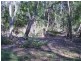 18 Coleus Street, Russell Island QLD 4184